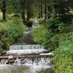 Zlaty Kopec