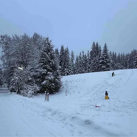 Zlaty Kopec *