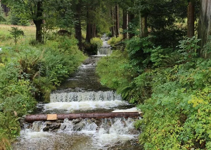 Zlaty Kopec